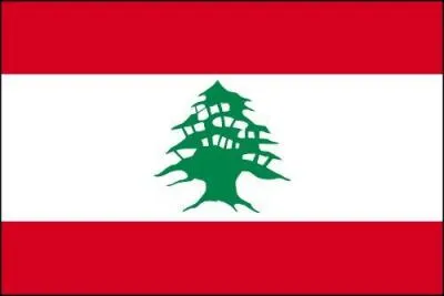 To which country does this flag belong?