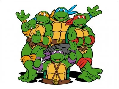In Ninja Turtles , what is the color of Michelangelo's headband?