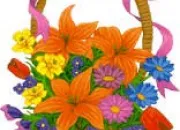 Quiz Fleurs à reconnaître grâce à leur nom botanique