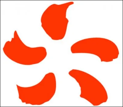 What is the name of this electricity company?