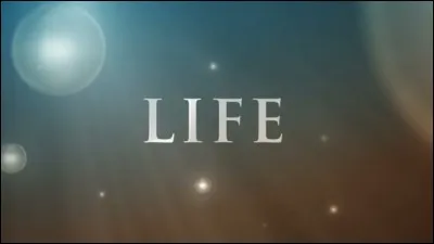 The most important thing in life is :