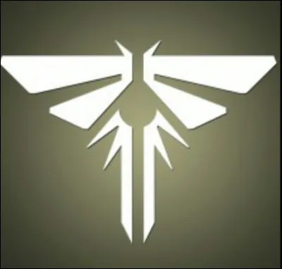 Why didn't the fireflies show up at the university as planned?