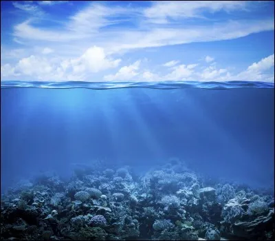 Which country has no borders with a sea or ocean?