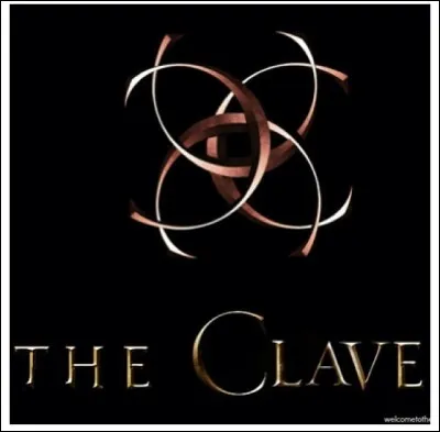 The Clave is sending you on a dangerous mission. What do you do?