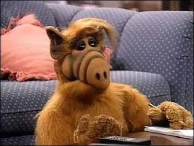 What planet is Alf the alien from?
