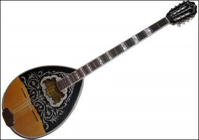 What is the name of this musical instrument?