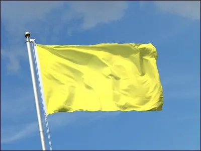 Which flag has yellow?