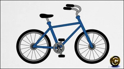 Our brother ___ got a bicycle.