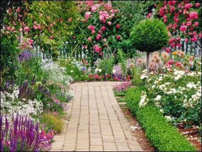 You ___ got a beautiful garden.