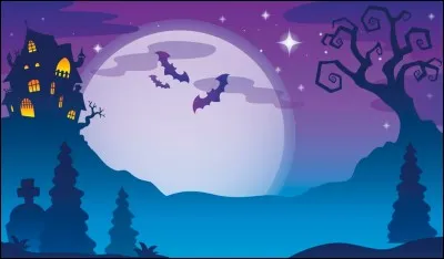 What is the website about?