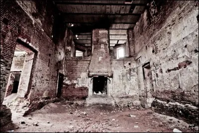 How many global moderators are there on the website?