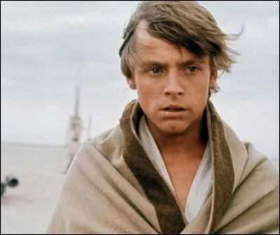What job was Luke Skywalker obliged to do?