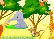 Quiz Les animaux dans les expressions françaises 13