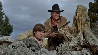 100 Dollars for a ...