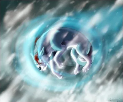 What is this attack called?