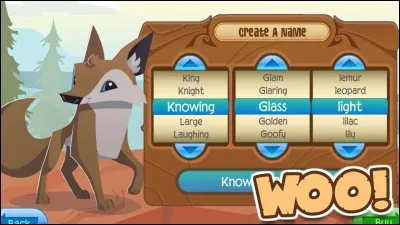 What animal is this?