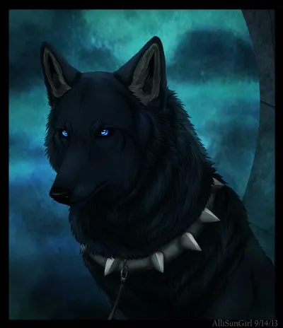 Is this a wolf or a dog?