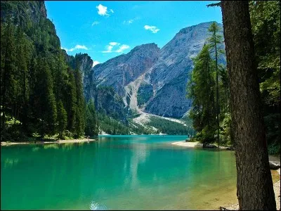 True or false?
The massifs that link Italy to Europe geographically speaking are the Pyrenees.