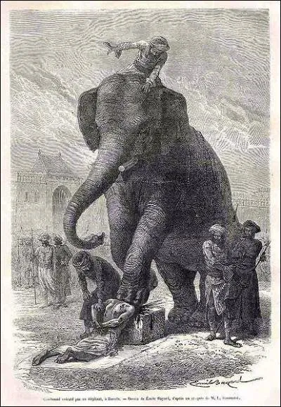 Asian elephants were used to crush, dismember or simply torture prisoners during public executions.