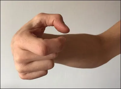 It's the name of a style of unarmed combat in Chinese martial arts (Kung-Fu).