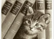 Quiz Prénoms des grands écrivains - littérature et poésie classique