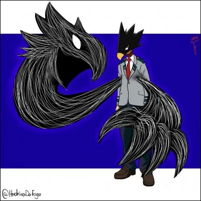 What is Fumikage's last name?