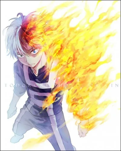 What is Shoto's last name?