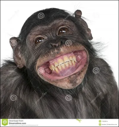 Simiesque, astronaut, Boulle!