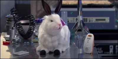 Who is transformed into a rabbit?