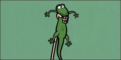 Who owns Izzy the lizard?