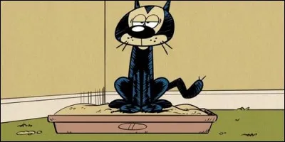 What's the name of the Loud family cat?