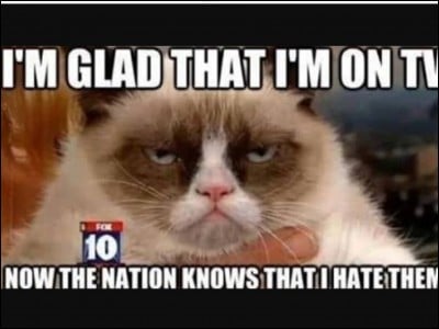 What date did Grumpy Cat become famous?