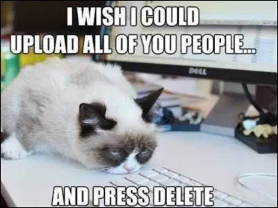 What is Grumpy Cat's real name?