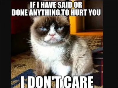 Why does Grumpy Cat look so grumpy?