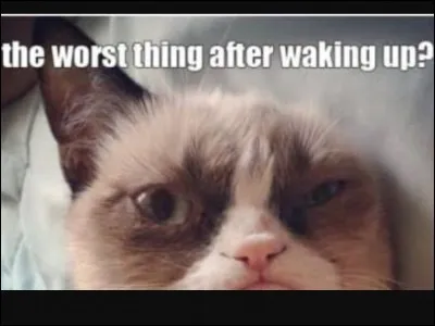 Where does Grumpy hide?