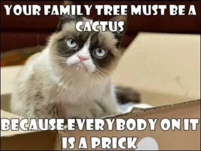 Which of Grumpy Cat's parents does she look more like?