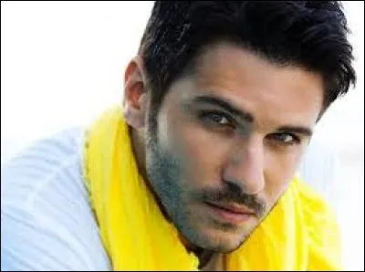 Who was elected the most beautiful man in 2006 ?