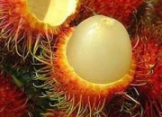 Quiz Exotic fruits