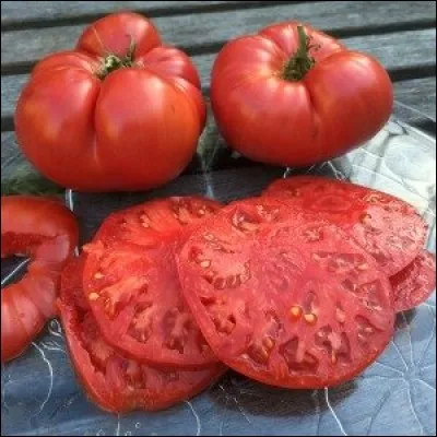What is the name of this type of tomato ?