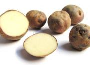 Quiz Varieties of potatoes