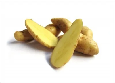 What is the name of this type of potato ?