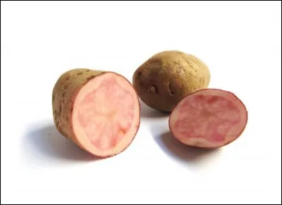 What is the name of this type of potato ?