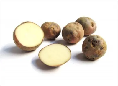 What is the name of this type of potato ?