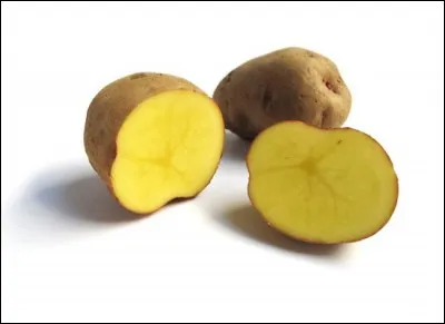 What is the name of this type of potato ?