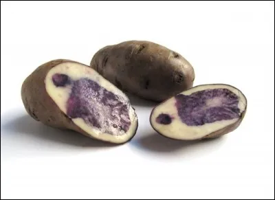 What is the name of this type of potato ?