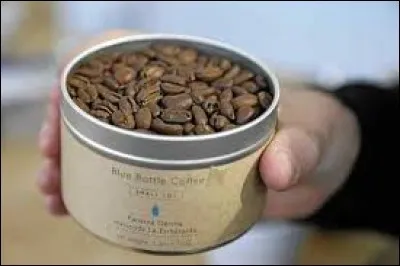 Which country is the origin of this type of coffee "Geisha" ?