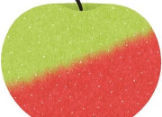 Quiz Varieties of Apple