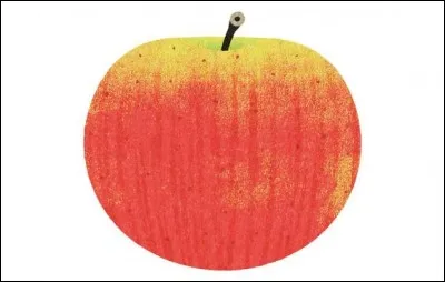What is the name of this type of apple ?