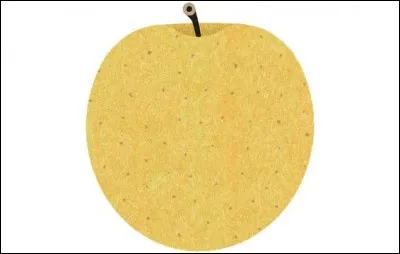 What is the name of this type of apple ?