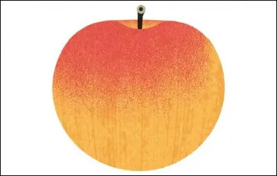 What is the name of this type of apple ?